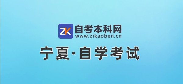 宁夏2026年下半年高等小桃汉化组新